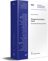 Panorama IV en droit du travail Recueil d'études réalisées par des praticiens
